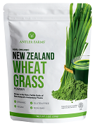 New Zealand wheat grass
